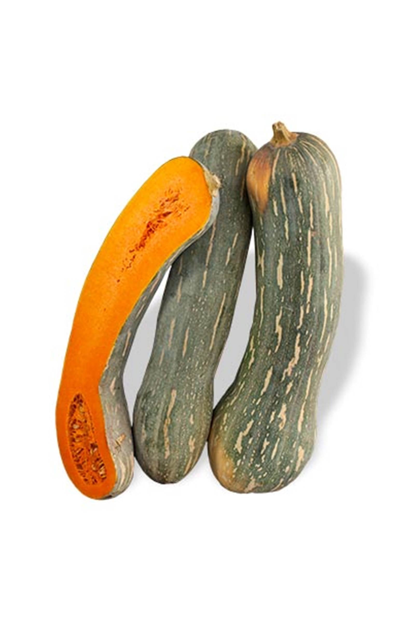 Zucca Lunga