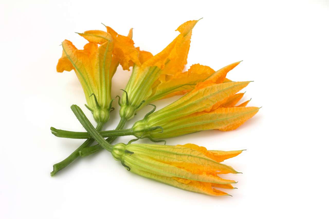 Fiori di zucca - confezione da 0.68gr