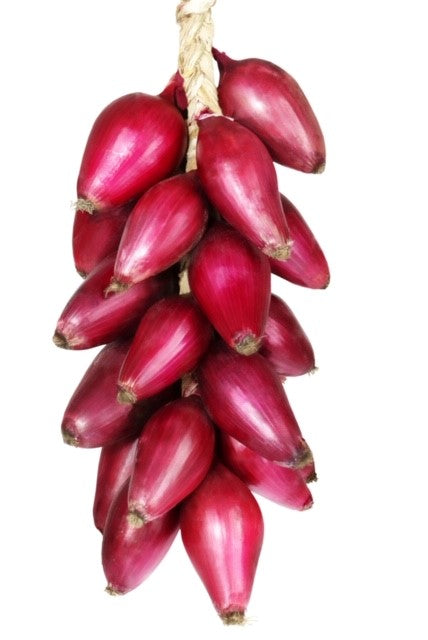 Cipolla di Tropea a trecce