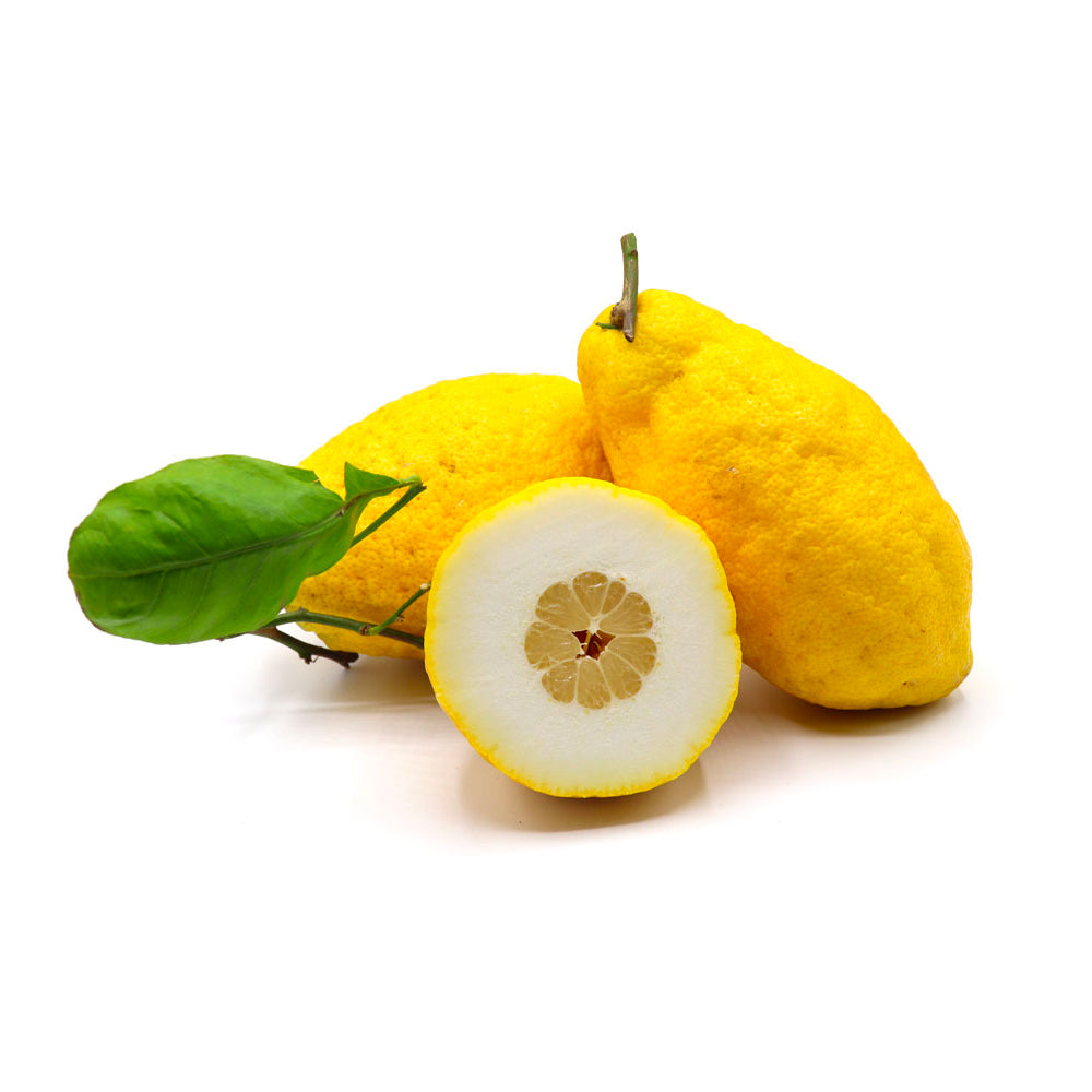 Cedro
