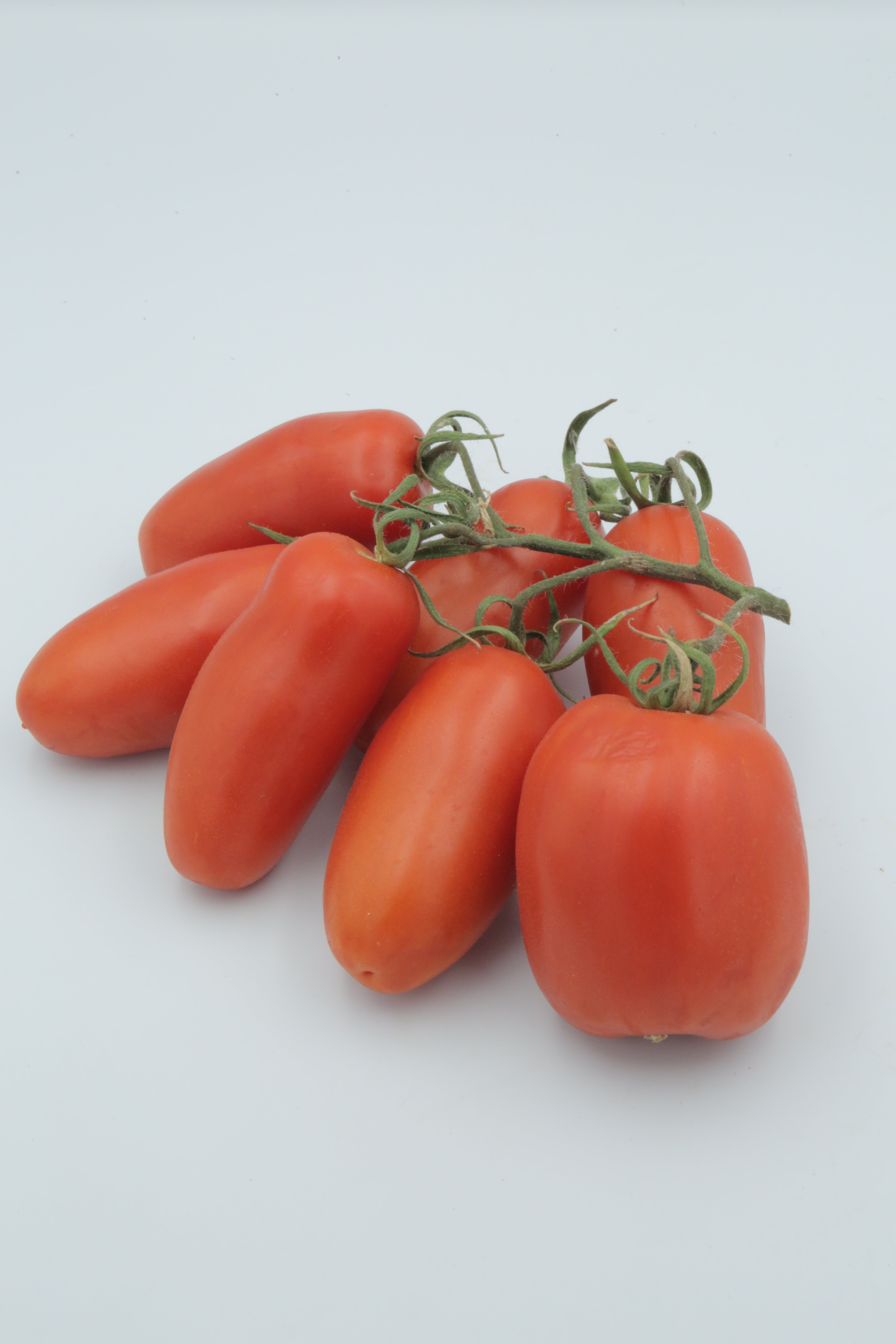 Pomodoro Datterino