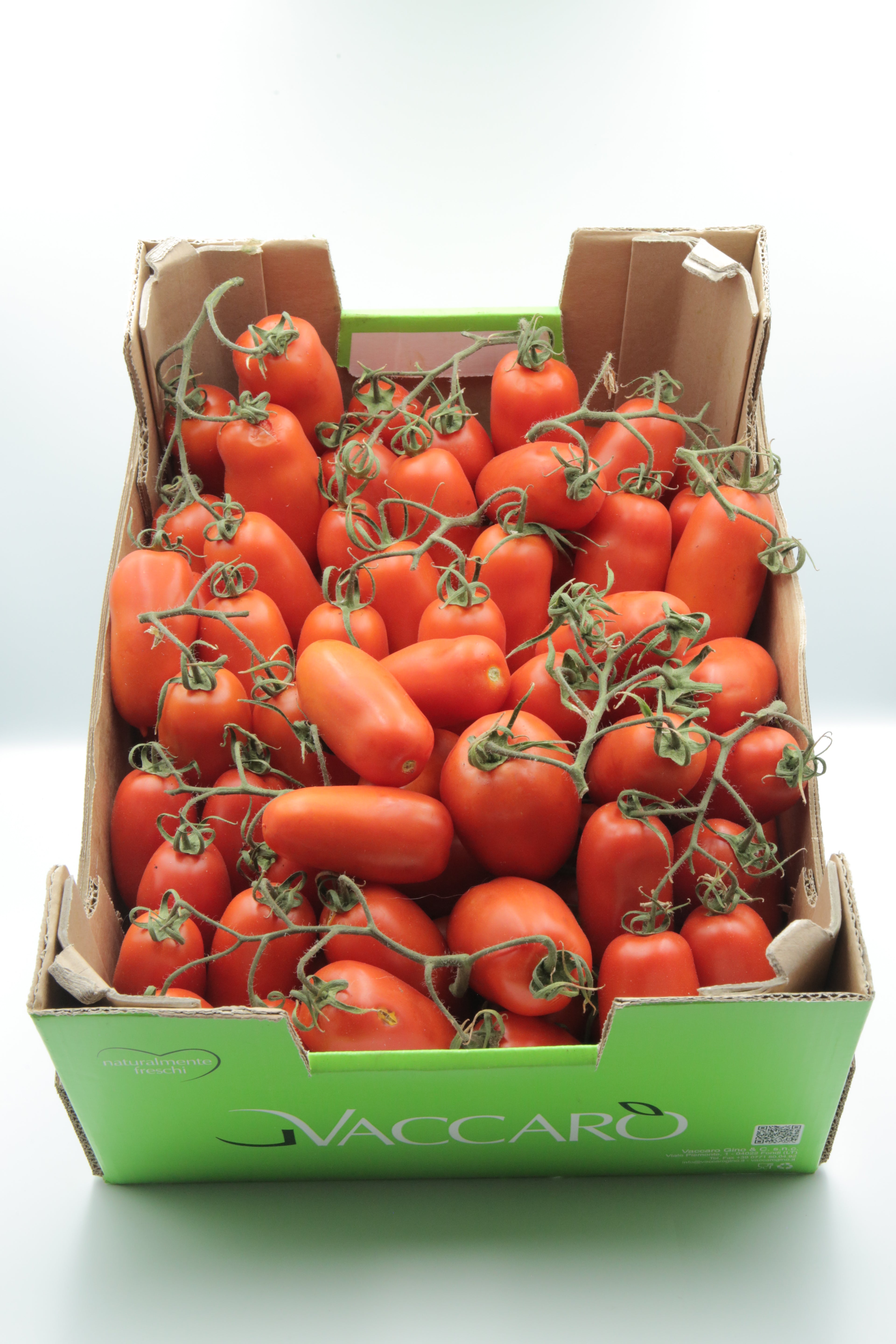 Pomodoro San Marzano