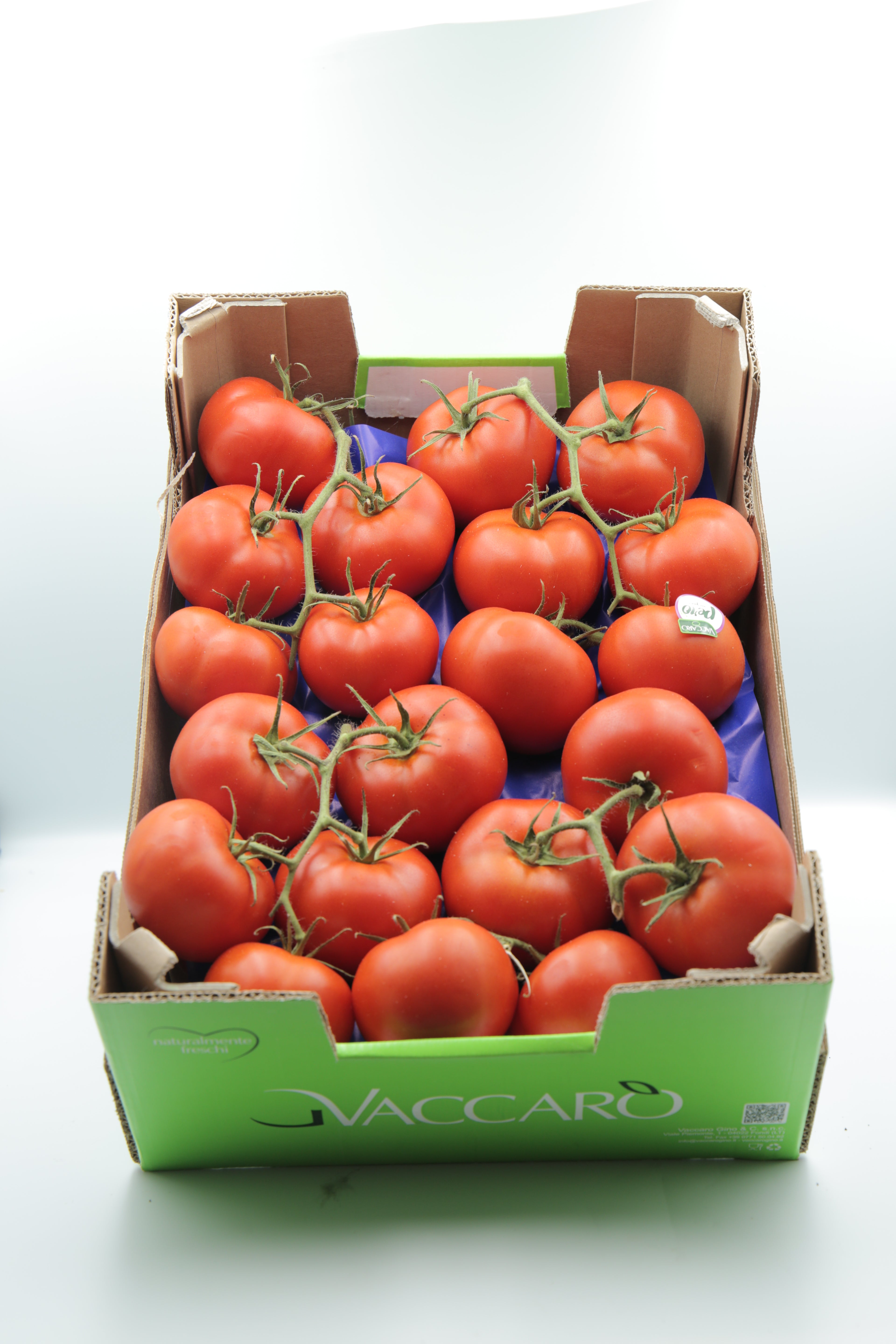 Pomodoro Cuore di Bue